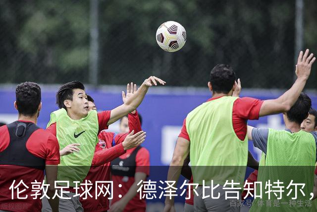 伦敦足球网：德泽尔比告知特尔，他下赛季将会得到重用